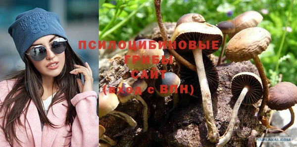 соль курить ск Горнозаводск