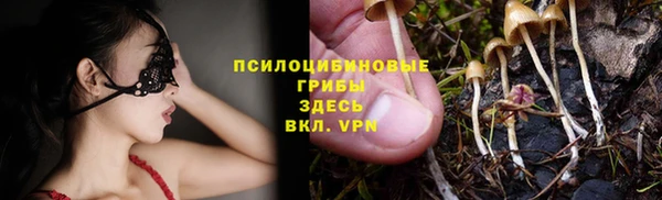 PSILOCYBIN Горно-Алтайск