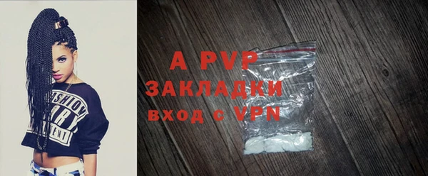 PSILOCYBIN Горно-Алтайск