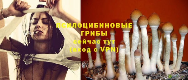 apvp Козловка