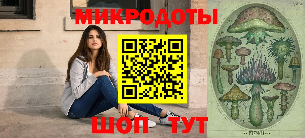 Псилоцибиновые грибы Psilocybine cubensis Назарово