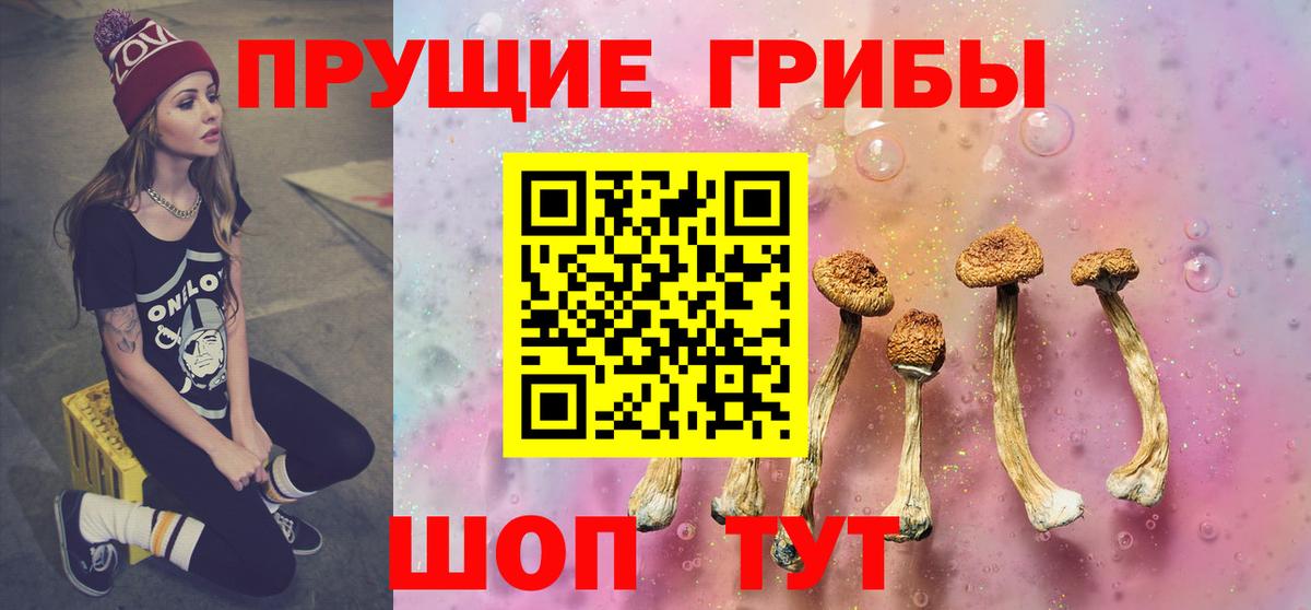 купить закладку  Псилоцибиновые грибы Magic Shrooms  Вход с VPN  Назарово 